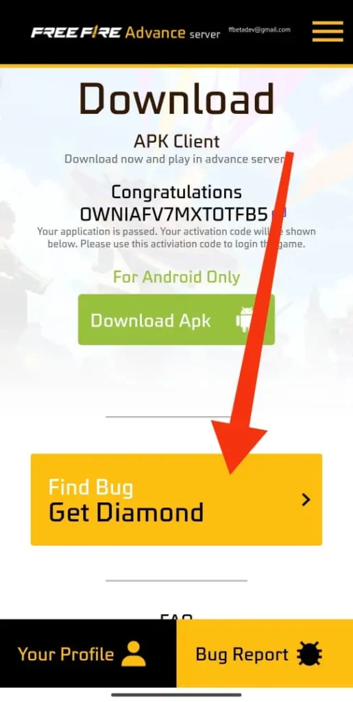 Guide to Filling the FF Advance Server Bug Report Form