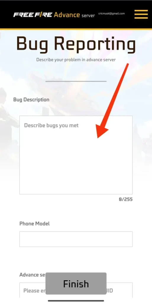 Guide to Filling the FF Advance Server Bug Report Form