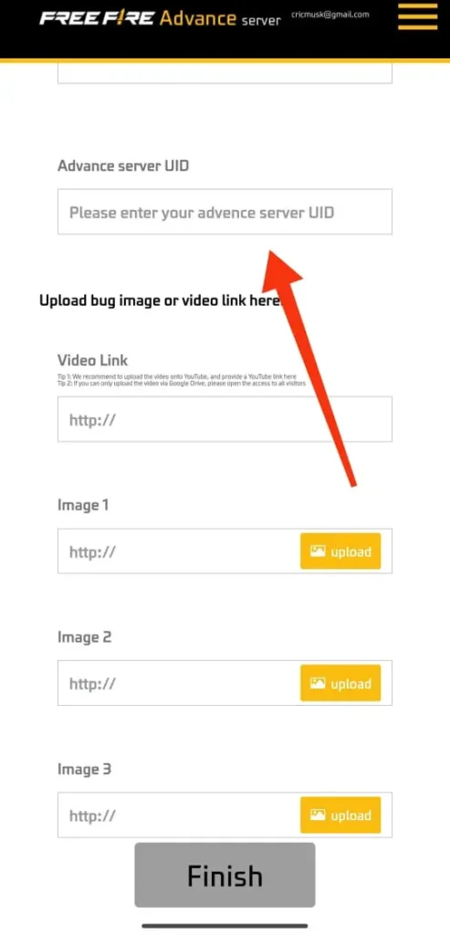 Guide to Filling the FF Advance Server Bug Report Form